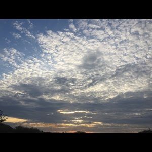 Meet your Posher, Katelyn